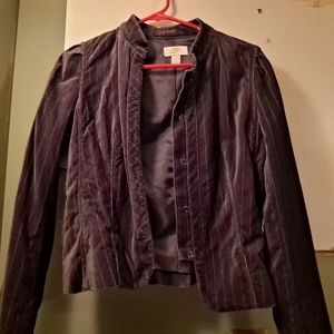 Ann Taylor loft gray silver pinstripe jacket